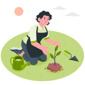 planter