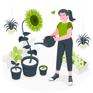 prendre soin des plantes