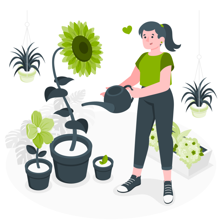 prendre soin des plantes