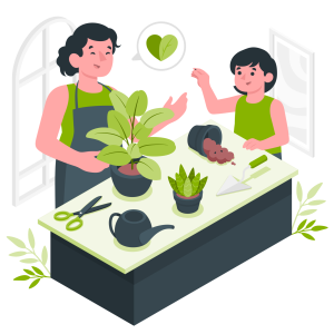 prendre soin des plantes