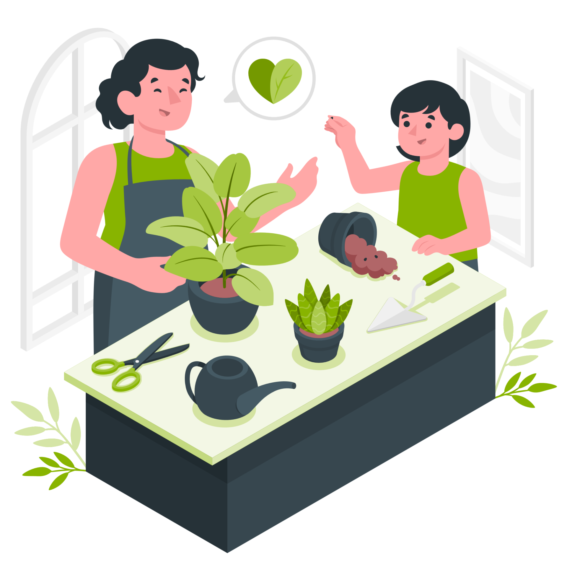 prendre soin des plantes